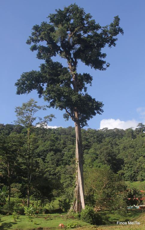 Mei Tai Cacao Lodge Bujagua Buitenkant foto