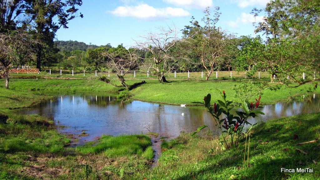 Mei Tai Cacao Lodge Bujagua Buitenkant foto