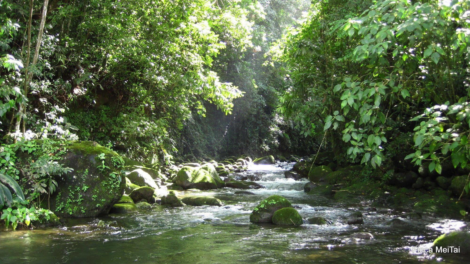 Mei Tai Cacao Lodge Bujagua Buitenkant foto
