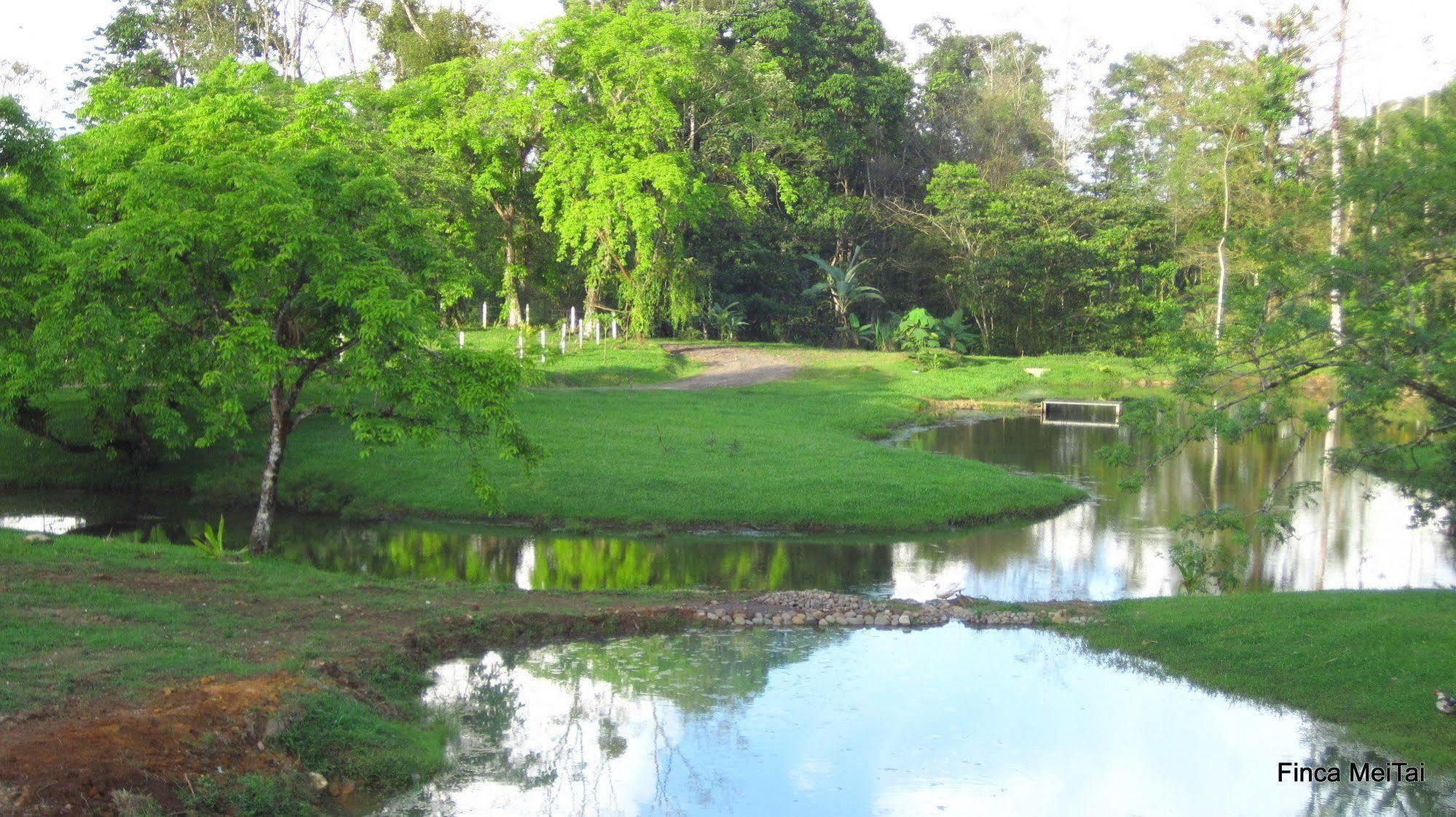 Mei Tai Cacao Lodge Bujagua Buitenkant foto