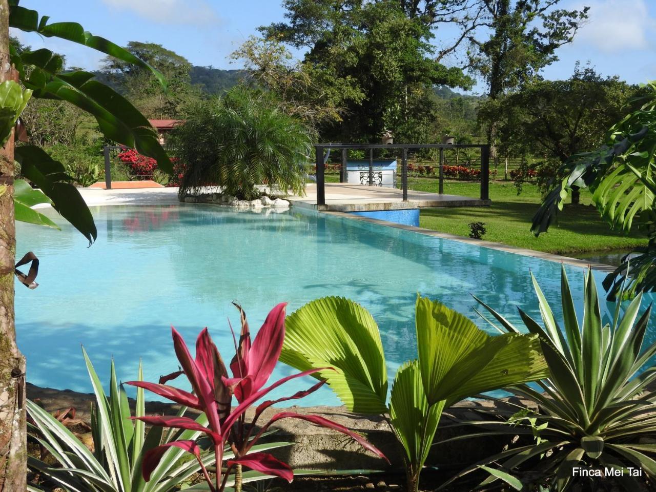 Mei Tai Cacao Lodge Bujagua Buitenkant foto